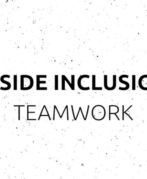 Inside Inclusion: Teamwork