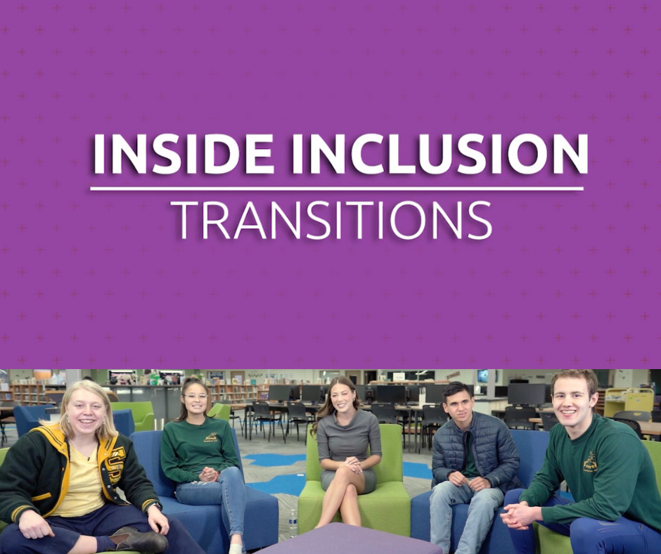 Inside Inclusion: Transitions